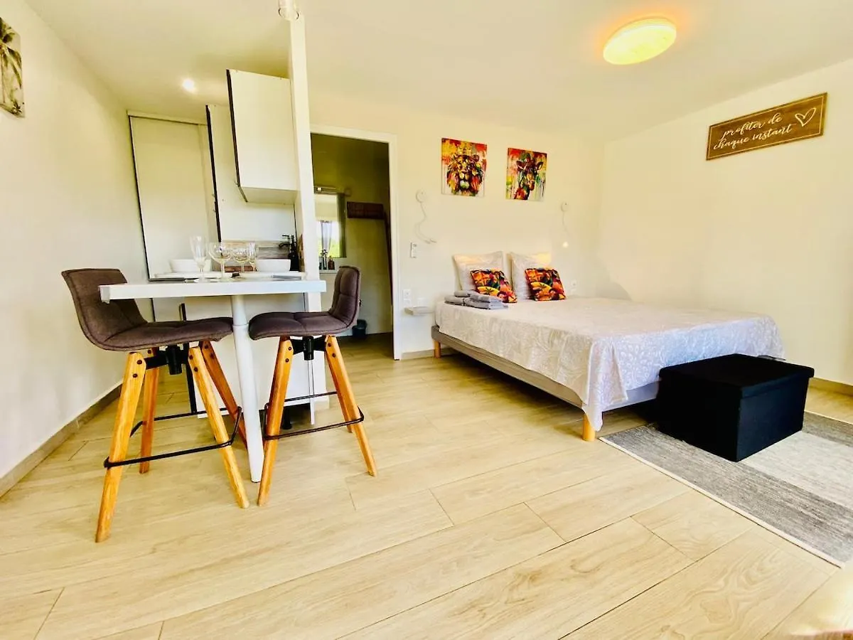 Sun7 Appart Pour 4, Petit Coin De Paradis Guadeloupe