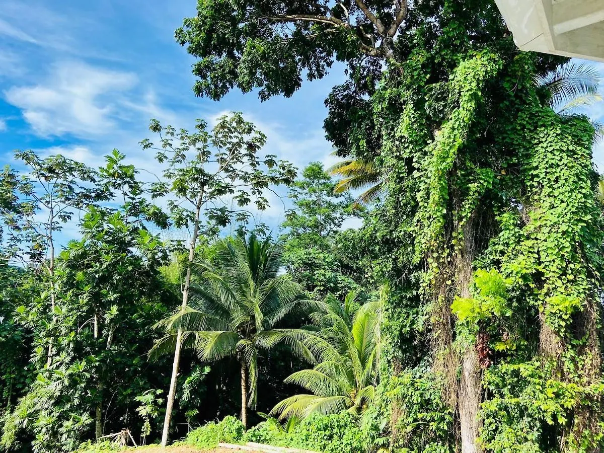 Sun7 Appart Pour 4, Petit Coin De Paradis Guadeloupe